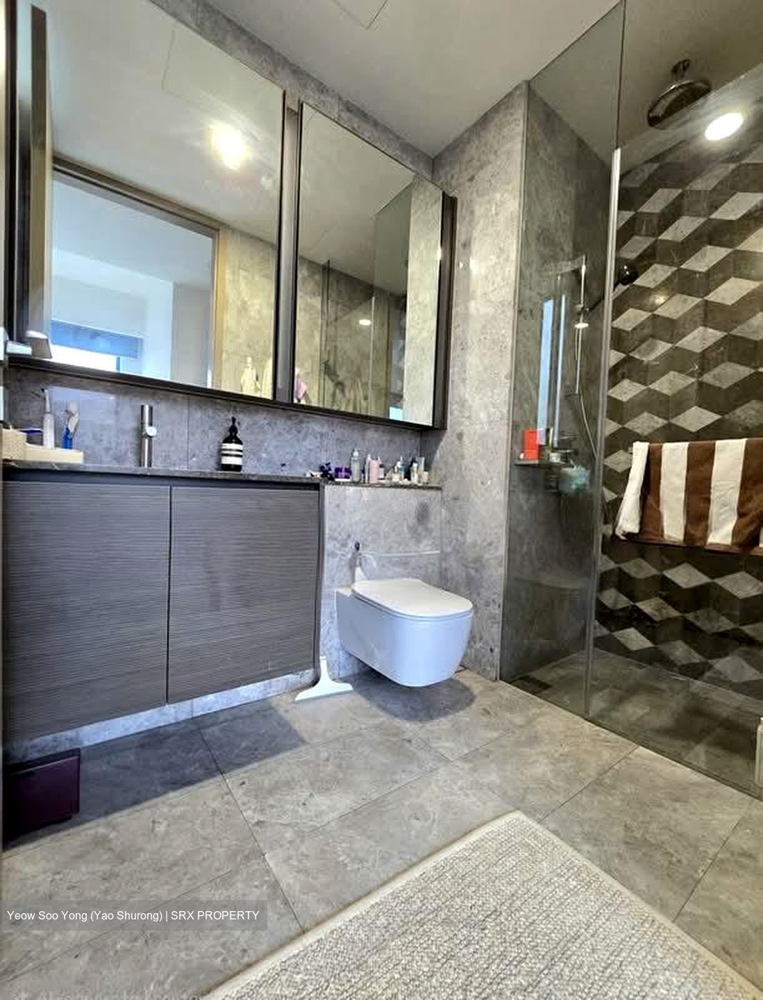 Leedon Green (D10), Condominium #574468681